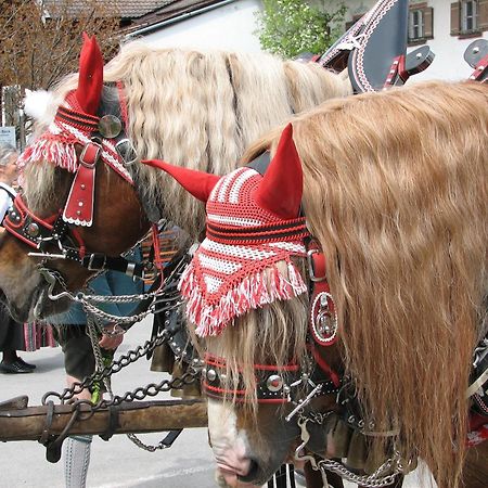 Aktivhotel & Gasthof Schmelz Ihr Urlaubs Hotel In Inzell Mit Wellness Hallenbad, Alpensauna & Dampfbad المظهر الخارجي الصورة